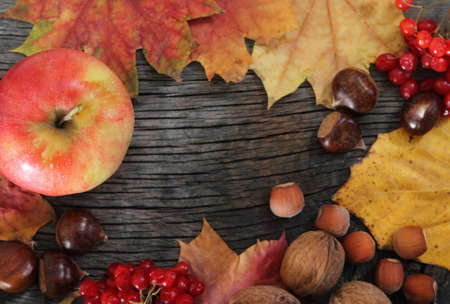 Thanksgiving background. Still life with aunumn leaves over wooden backgroundの写真素材