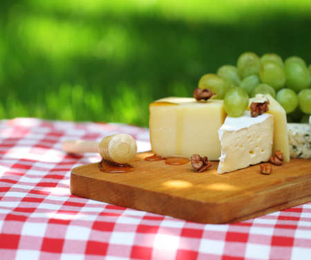 Various sorts of cheese with grapes outdoorの写真素材