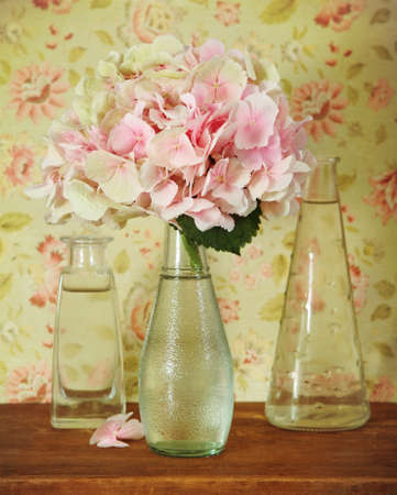 
Blossoming pink hydrangea in bottle on the wallpaper backgroundの写真素材