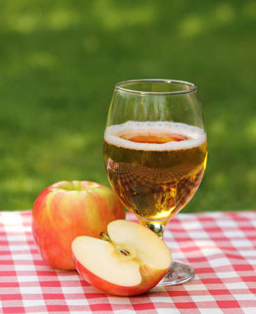 Apple cider and apples on the summer picnicの写真素材