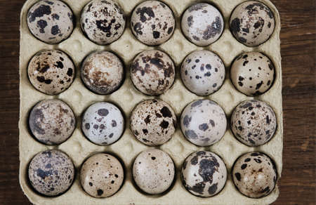 Spotted eggs on wooden background. Close up の写真素材