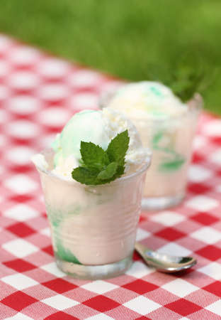 Fresh vanilla ice cream with mint outdoor. Close up shootの写真素材