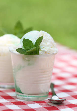 Fresh vanilla ice cream with mint outdoor. Close up shootの写真素材