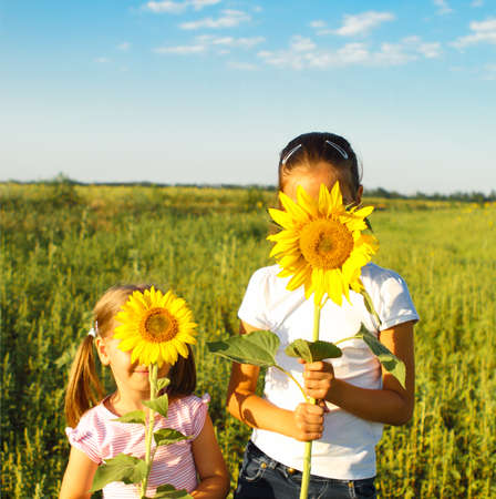 
Portrait of two cute litle girls hiding behind sunflowers on sunny dayの写真素材
