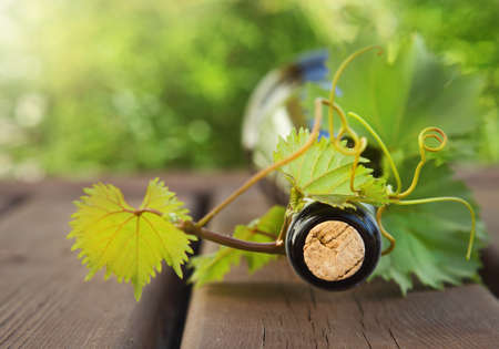 Bottle of wine on the wooden table outdoors. Summerの写真素材