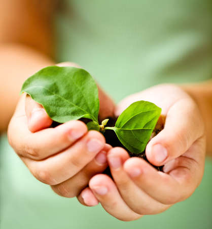 Children`s hands holding young plant against spring green background. Ecology conceptの写真素材