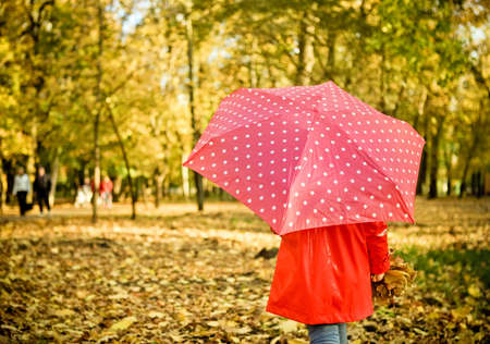 Little girl with polka dots umbrella walking through alley with fall foliageの写真素材