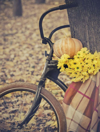 Vintage bicycle decorated with pumpking and flowers in autumn parkの写真素材