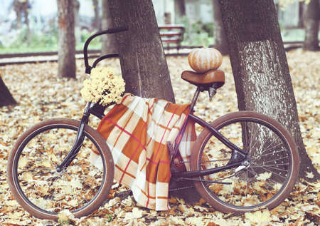 Vintage bicycle decorated with pumpking and flowers in autumn parkの写真素材
