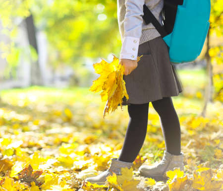 Back to school. Little schooler girl wearing school uniform and stylish blue school backpack having fun with yellow maple leaves in the autumn parkの写真素材