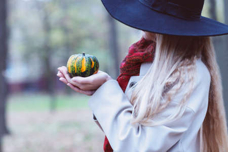 Portrait of the beautiful woman wearing black hat holding little pumpkin enjoying the sunny autumn dayの写真素材