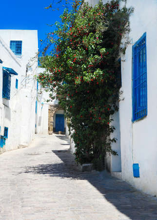 Sidi Bou Said. La Gulett, Tunisia. White and blue townの写真素材