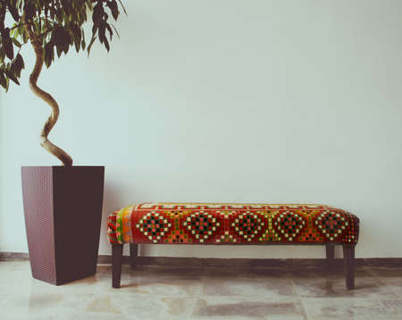 Ficus tree in living room next to a sofa. Toned photoの写真素材