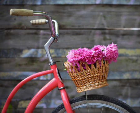 Vintage bicycle with basket with peony flowers near the old wooden wallの写真素材