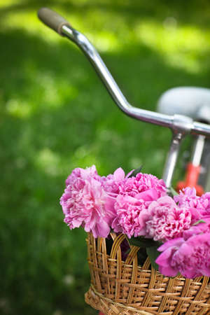 Vintage bicycle with basket with peony flowers in the spring parkの写真素材