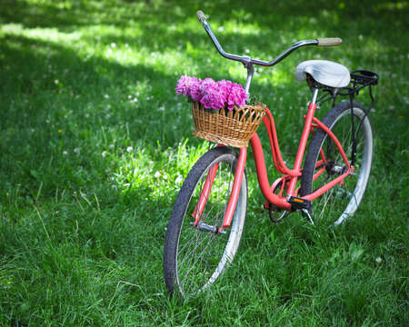 Vintage bicycle with basket with peony flowers in the spring park