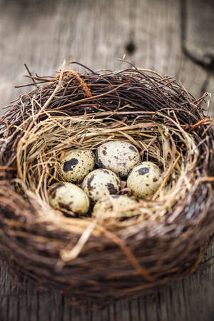 Nest with eggs on vintage wooden background. Close upの写真素材