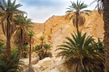 View of mountain oasis Chebika, Sahara desert, Tunisia, Africaの写真素材