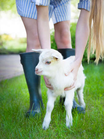 Woman farmer and young goat. Rural scene. Close upの写真素材