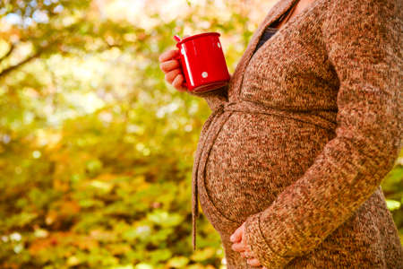 Happy pregnant woman drinking tea in the autumn picnic. Close up on bellyの写真素材