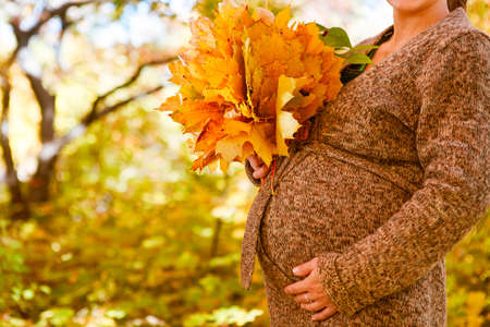 Woman holding hands with maple leaves on her pregnant belly, focus on handの写真素材