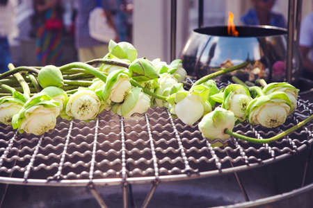 Lotus for Buddhist religious ceremony. Close upの写真素材