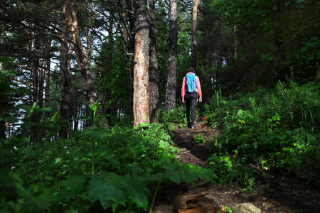Hiker with backpack in mountain forest in the morning