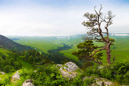 Mountain landscape. Valley view. Caucasus nature. Lago-Naki, Russia, Europe.の写真素材