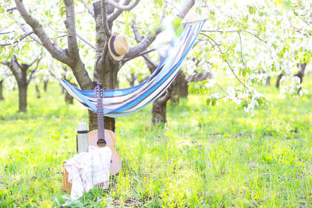 Guitar, basket, hammock, plaid and thermos in a blossoming garden. Vintage tender background....