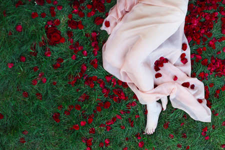 Close up shot of beautiful woman feet with red pedicure and red roses around onth green grassの写真素材
