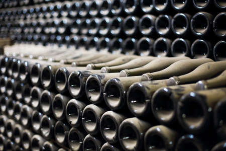 Wine or champagne bottles aged in cellar. Close upの写真素材