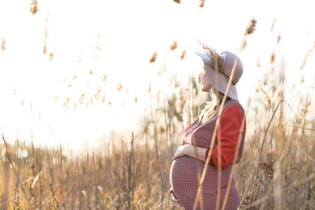 Young pretty pregnant woman outdoors on sunset in the fieldの写真素材