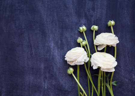 White ranunculus bouquet on black background top view