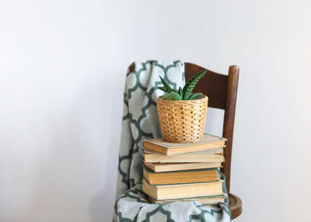 Bedroom interior close up with green plaid, books and plant on a chair. Home interior vintage decor 
の写真素材