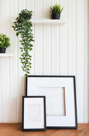Green plants on white shelves on white wall in the roomの写真素材