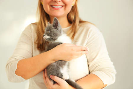 Cute grey and white kitten sitting on the hands of the woman. Close up. Blurred background. 