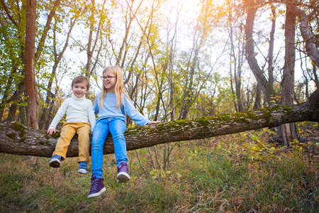 Kids play in autumn park. Little brother and his sister sitting on the tree in the fall