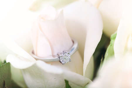 Beautiful elegant wedding ring with diamond placed inside bud of gentle white roseの写真素材