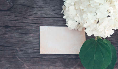 Top view of white hortensia flower with green leaves placed near blank vintage card on wooden backgroundの写真素材