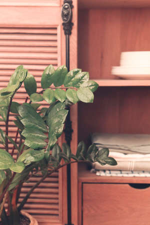 Kitchen retro styled cupboard with disheslike plates, tableclothes, vases and glassesの写真素材
