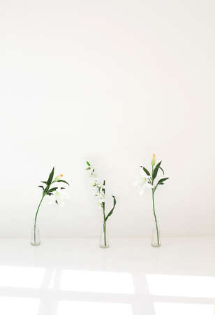 Beautiful natural lilies placed in glass vases against white wall in light roomの写真素材