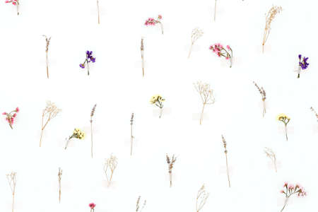 Background made from flower pattern. Fresh natural flowers fixed on the wall with adhesive plaster. Concept backgroundの写真素材