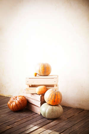 Composition of different green and orange pumpkins on wooden floor among boxes at countrysideの写真素材