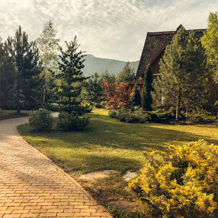 Cozy wooden country house located on green meadow and surrounded by trees on sunny day