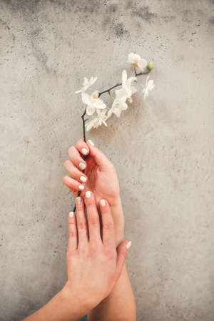 Top view of crop unrecognizable female with blooming flower demonstrating stylish neat manicure on concrete backgroundの写真素材