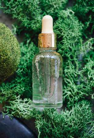 Closeup top view of bottle of essential oil for spa procedure placed on heap of green mossの写真素材