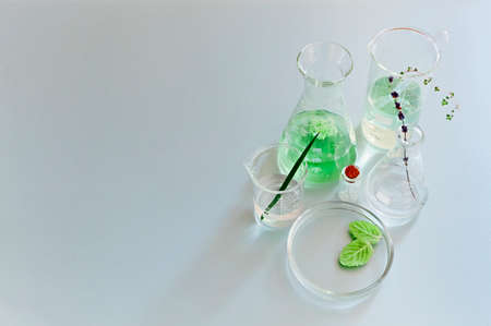 Assorted glass bottles and flasks arranged with green plants on table in modern lab