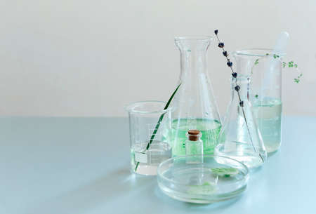 Assorted glass bottles and flasks arranged with green plants on table in modern labの写真素材