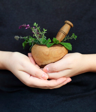Unrecognizable female demonstrating wooden mortar with pestle and fresh leaves and flowers of herbsの写真素材