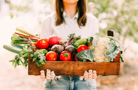 Unrecognizable woman in gloves demonstrating wooden crate with various vegetables while working on farmの写真素材